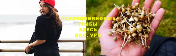 амф Киреевск