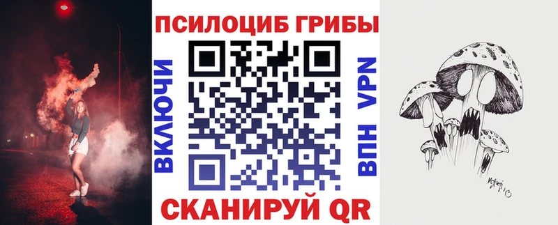Галлюциногенные грибы мицелий  Пушкино 